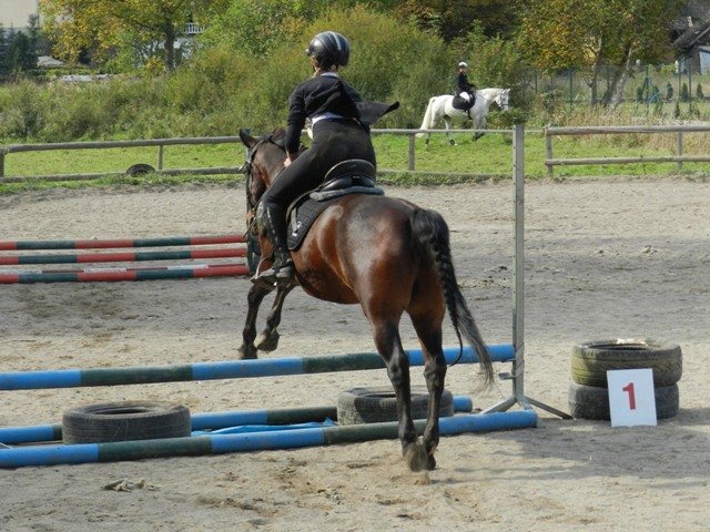 Babie Lato 2016